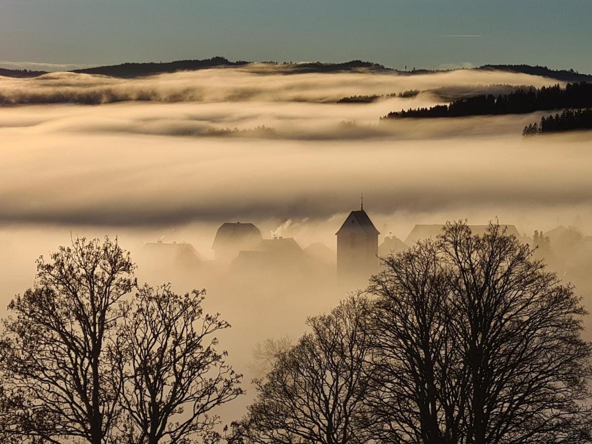 Jufa Hotel Schwarzwald Lenzkirch Zewnętrze zdjęcie